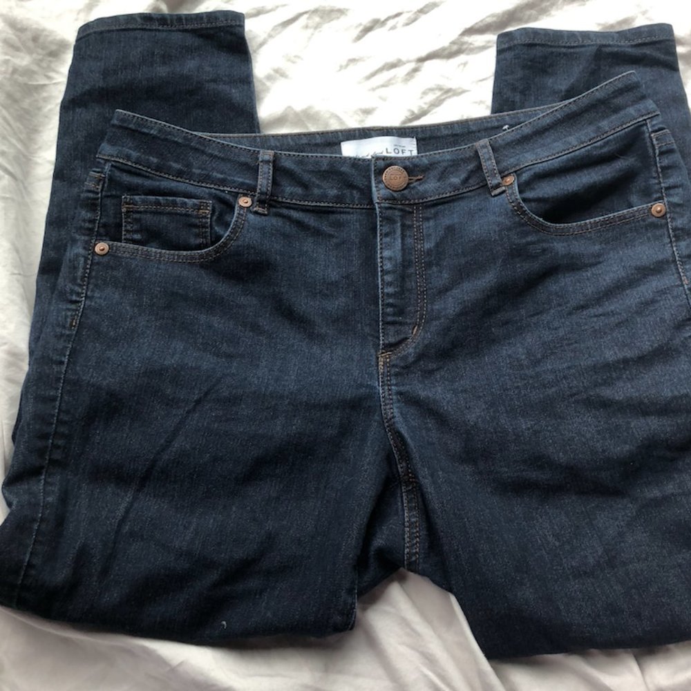 Ann Taylor Loft Curvy Skinny Ankle Jeans 10/30 Petite